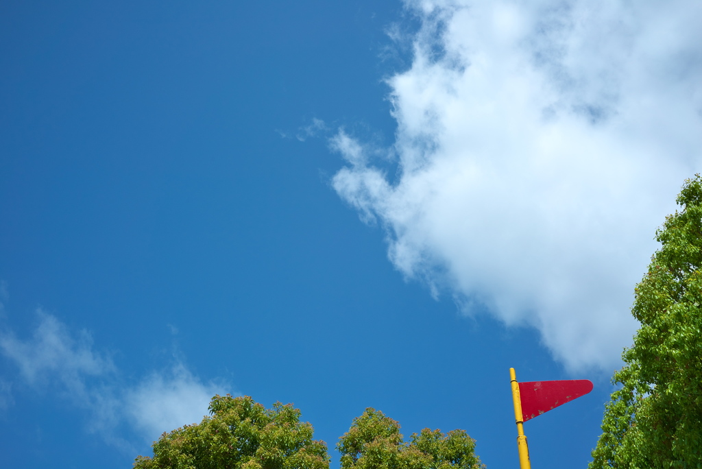 Flag