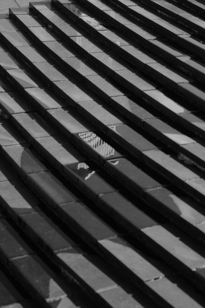 パラレルワールド