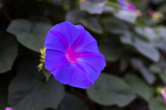 おはようございます