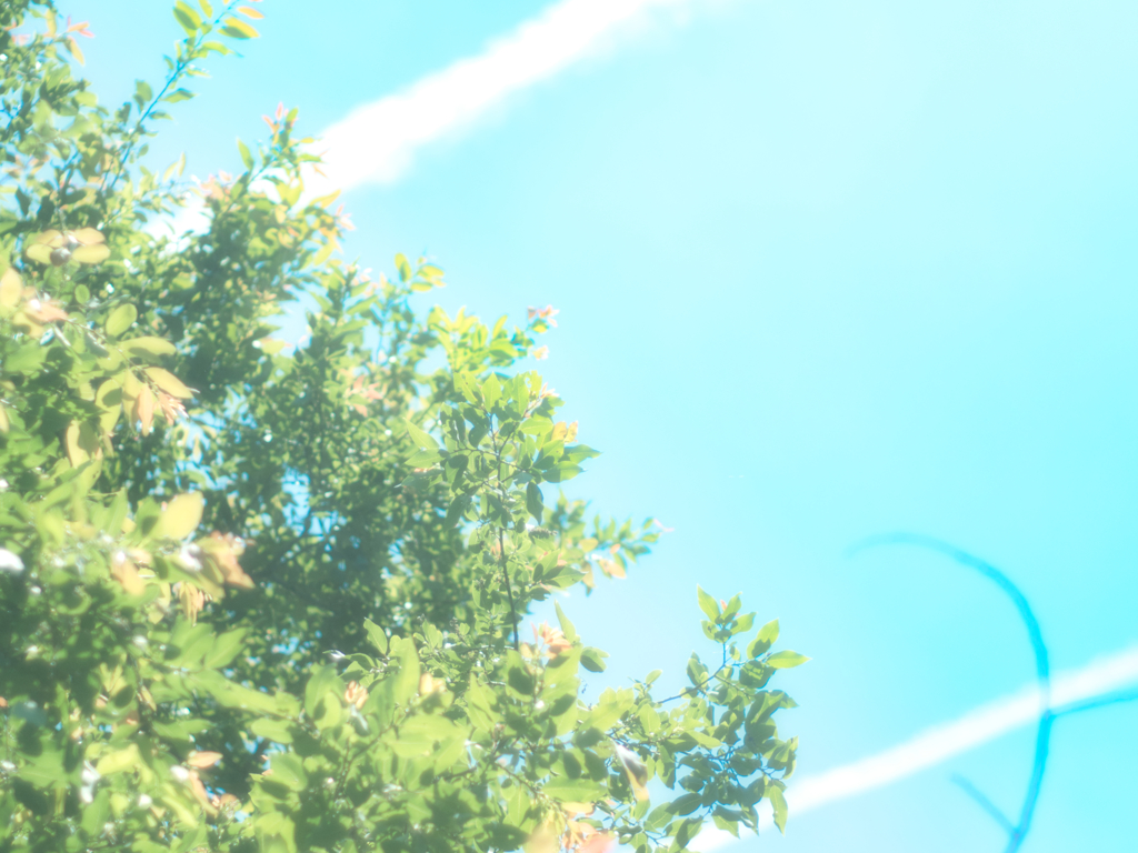 白い線