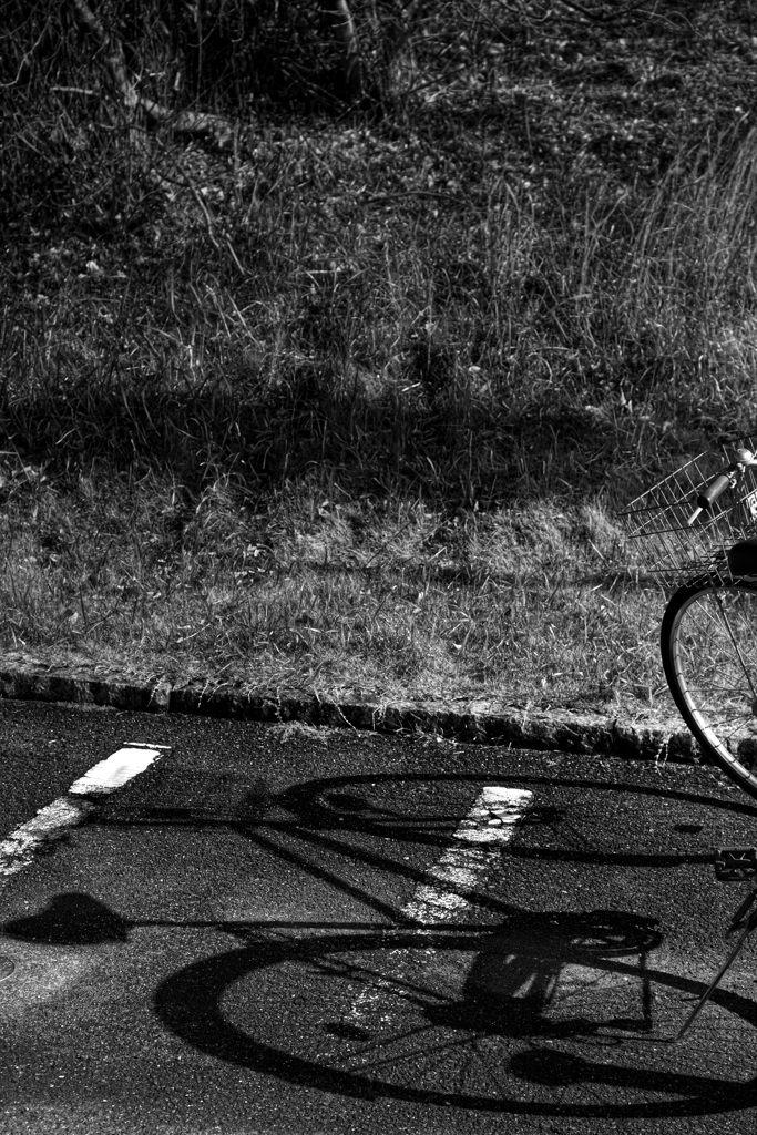 自転車