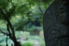 どこかで見た顔？