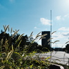 公園はにぎやか