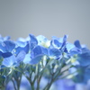 ブルース