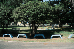 朝の公園2