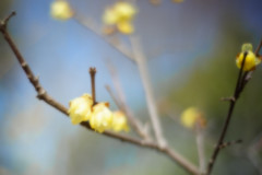ふたり