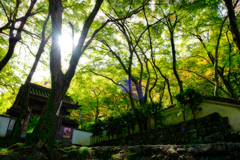 牛滝山大威徳寺