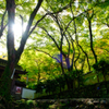 牛滝山大威徳寺