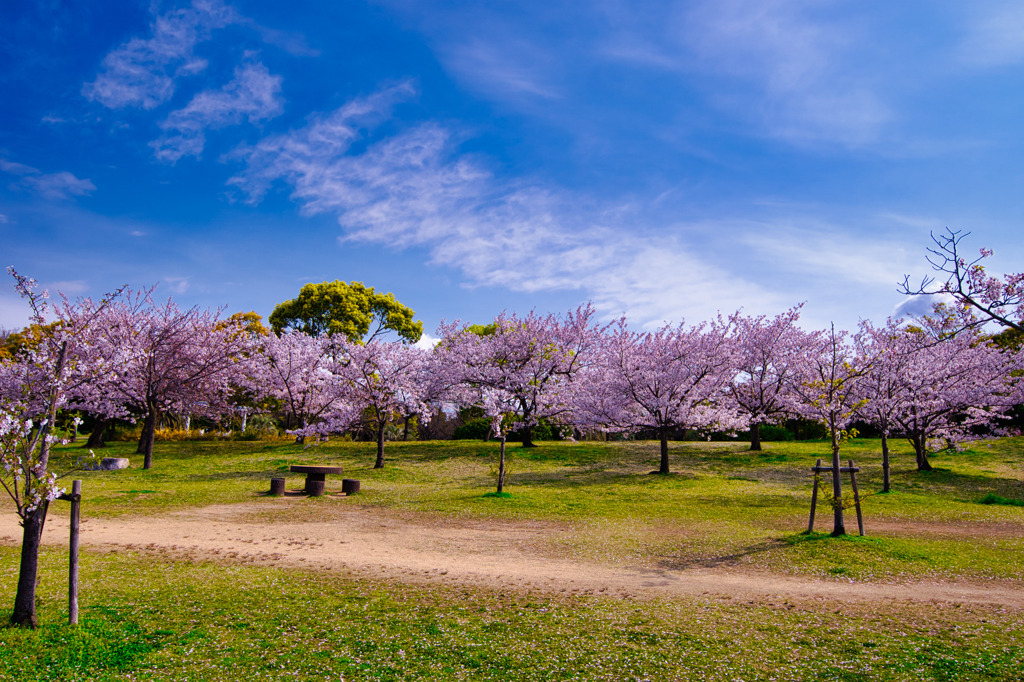 人が少ない公園 by ぷちよん （ID：9491882） 写真共有サイトPHOTOHITO