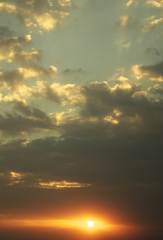 今年を見据える目