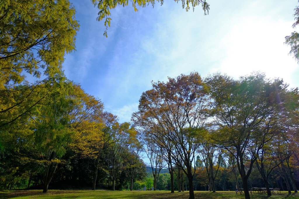 蜻蛉池公園