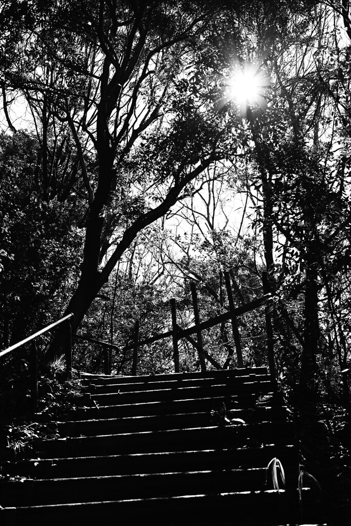 のぼろうかな～