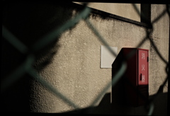 お久しぶりです。