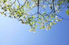 そら見上げました2