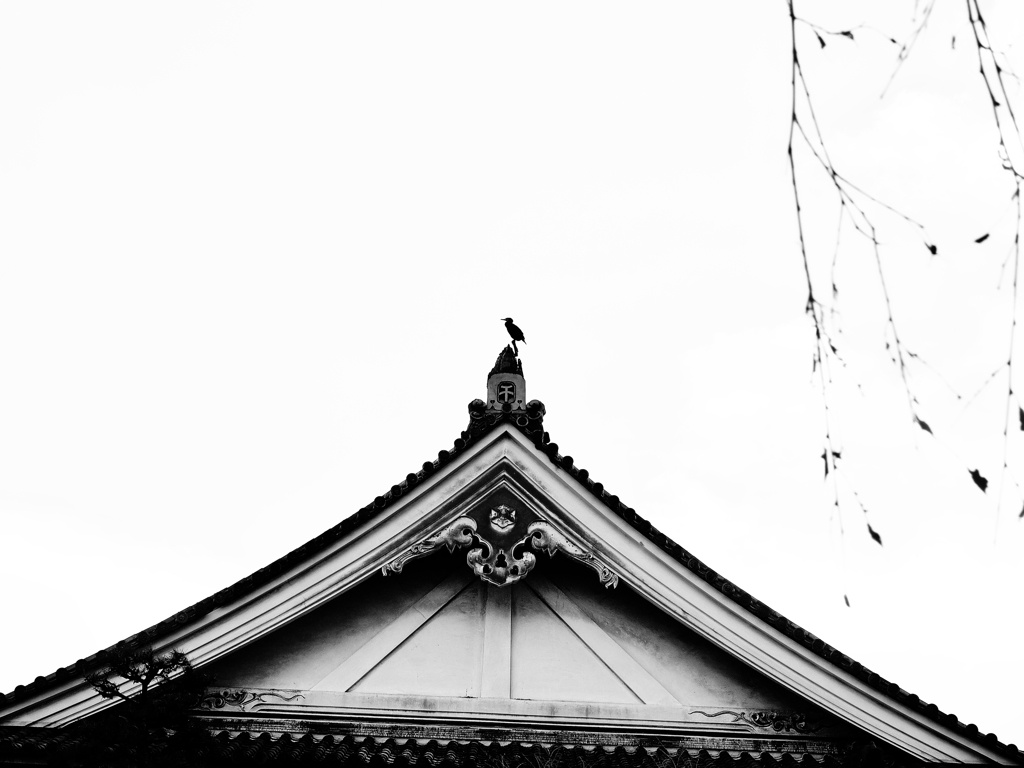 遠くを見つめて
