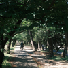朝の公園3
