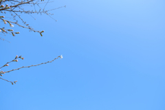 前へ前へ 