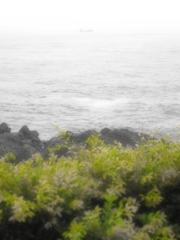 夢幻の海