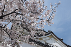 さくらだ城～