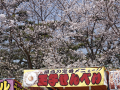 玉せん