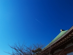 飛行機雲見てスッキリ気分