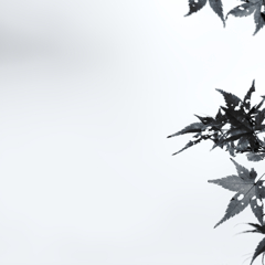 それぞれの心には穴が開いていて