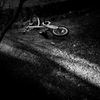 自転車のひとやすみ