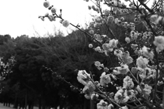 想像して・・・。