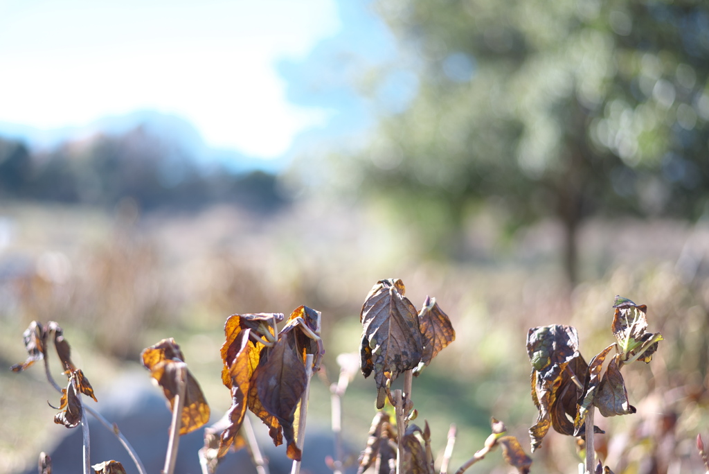 落ち込まないで