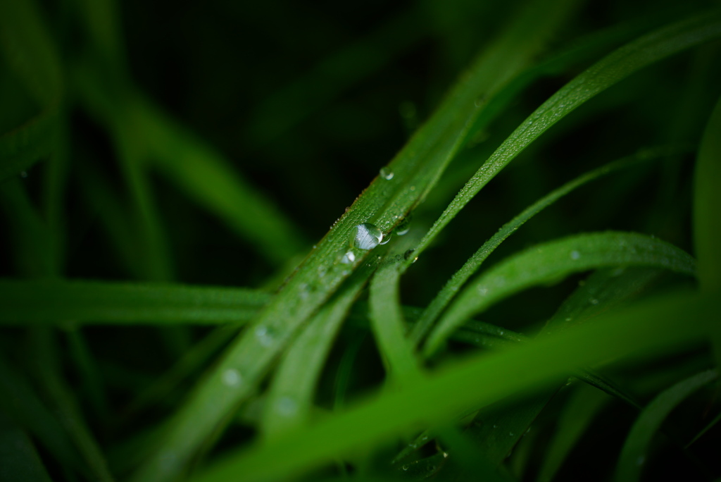 雫