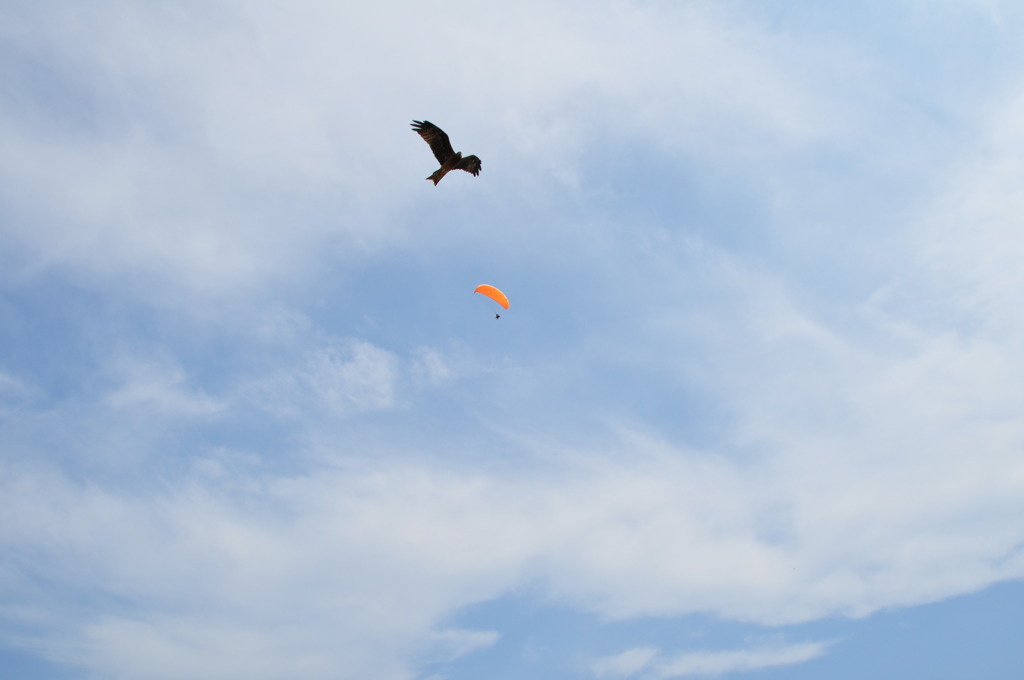 空、トンビ、人