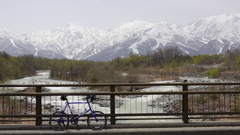 AACR2025その2