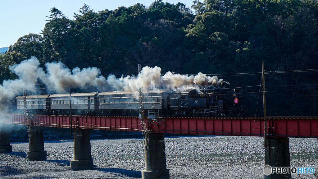 大井川行ってきた