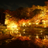 紅葉観光してきた