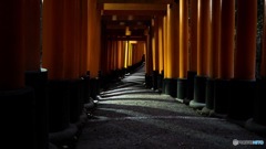 京都に紅葉観光行ってきた