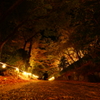 紅葉観光してきた