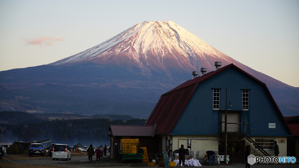 今年は冠雪しないのかな？
