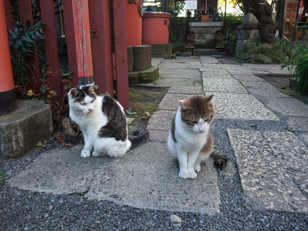 怒られました・・