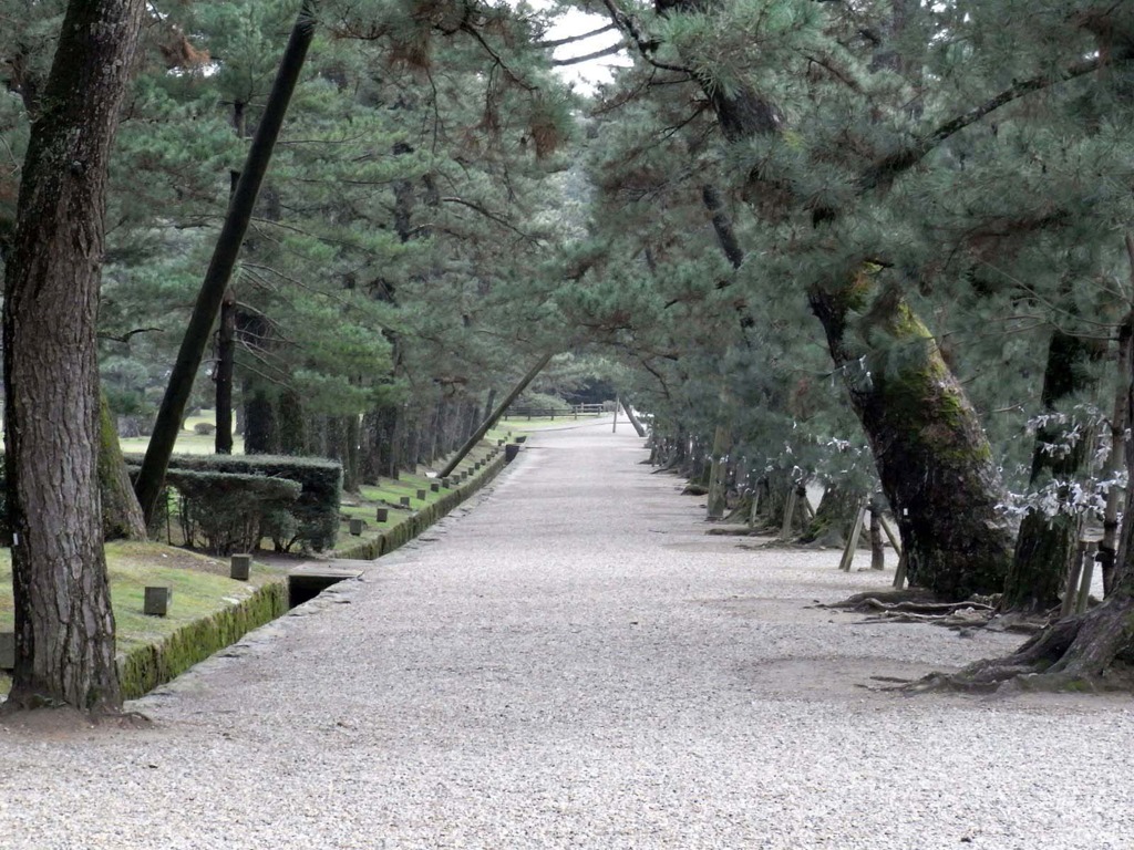 出雲大社参道