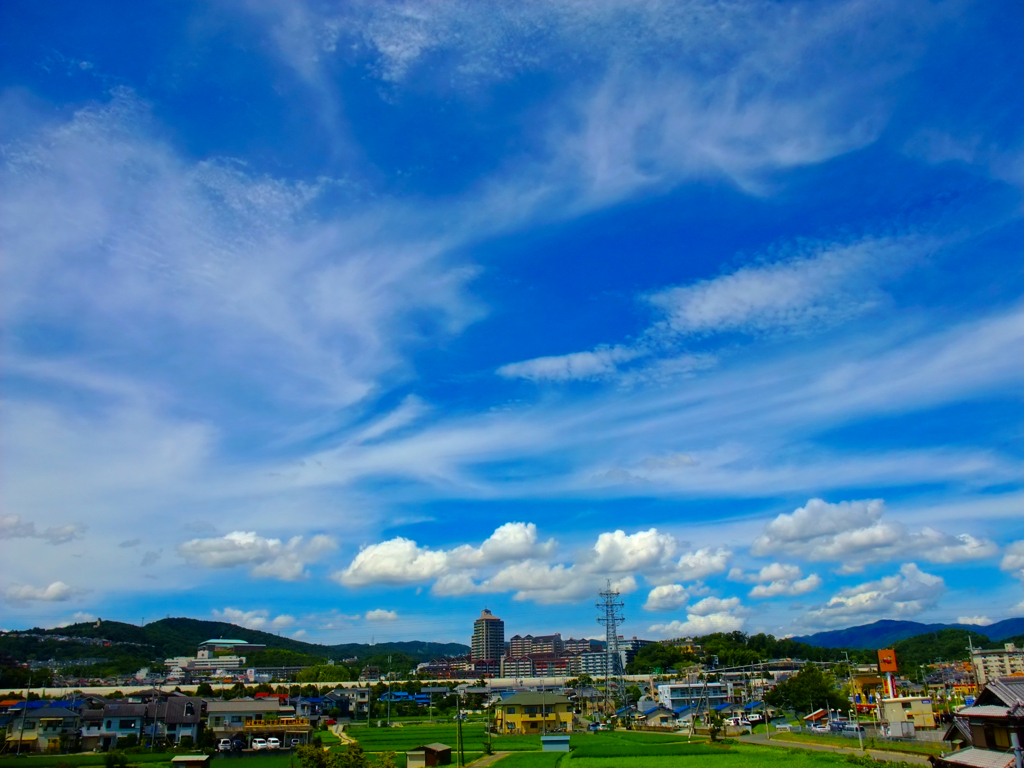 夏空