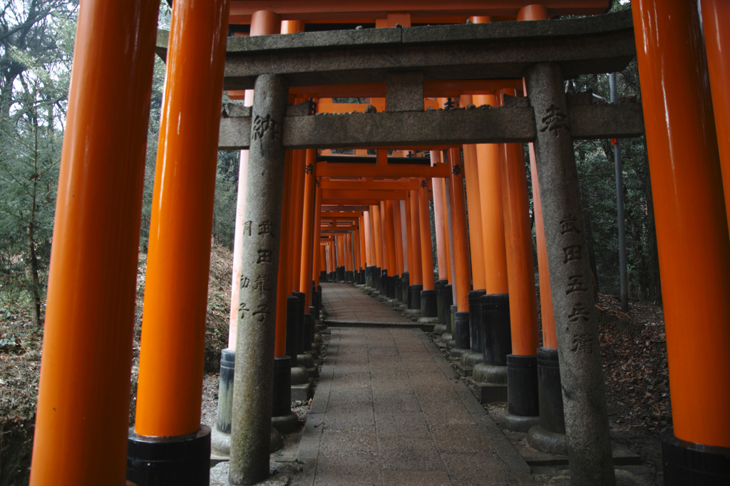 鳥居千本