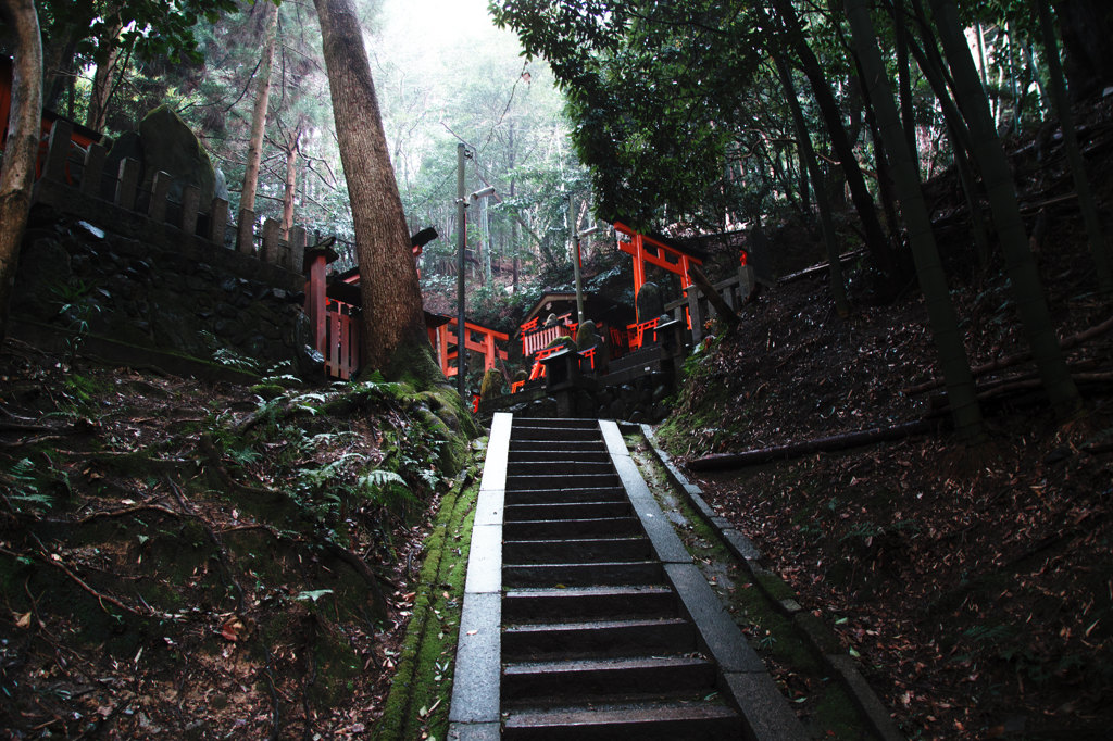 鳥居集い