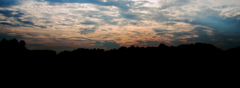 空です。