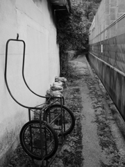 路上観察