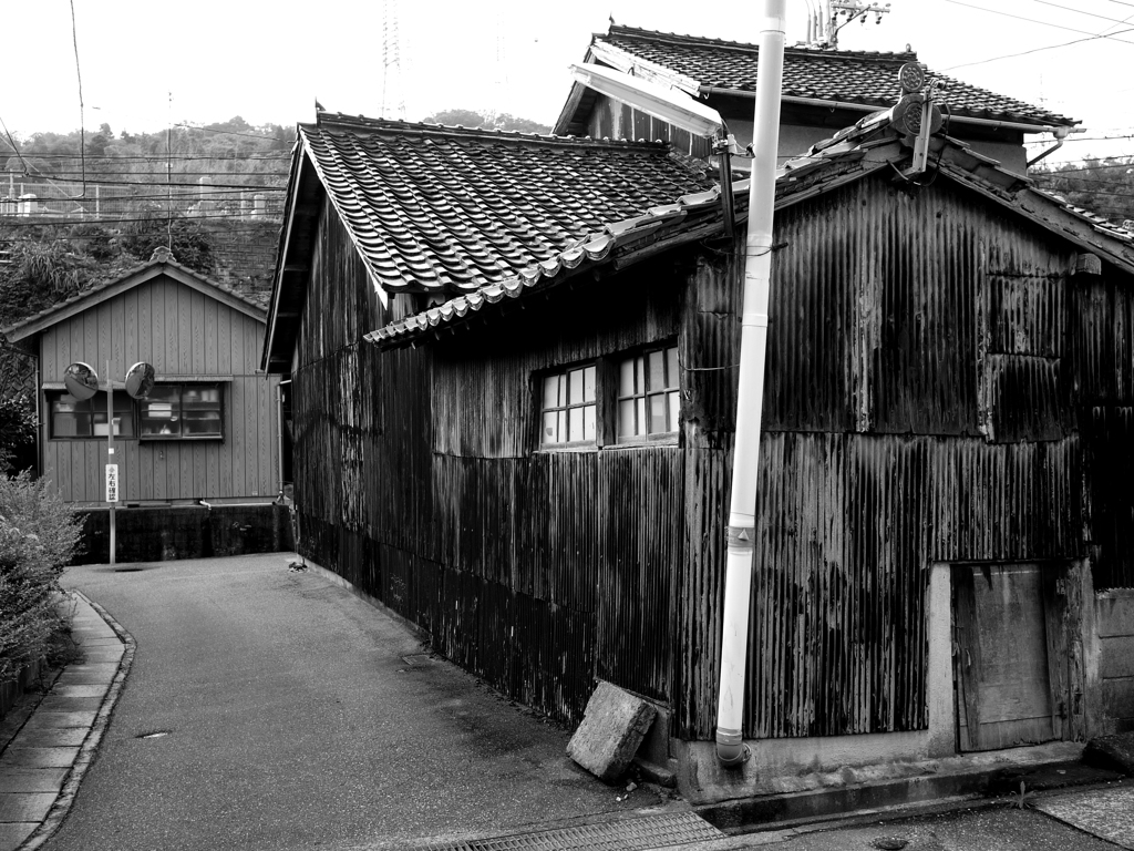 路上観察
