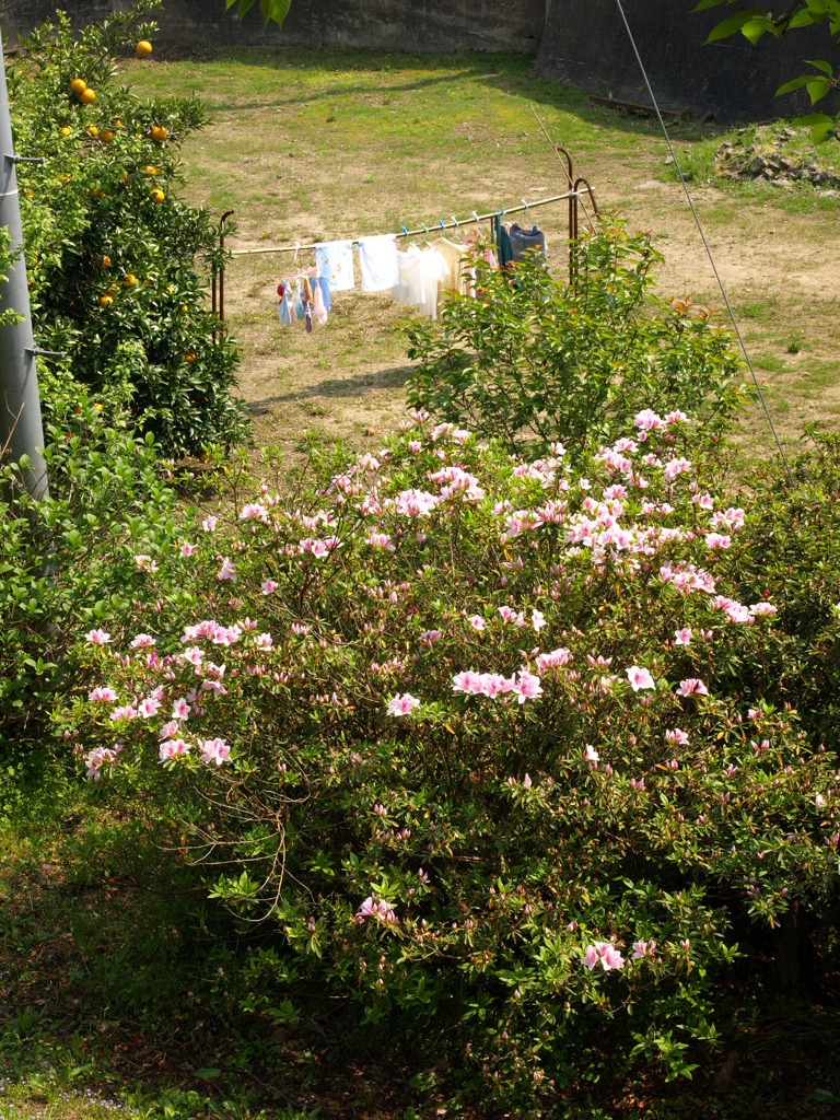 P4270639