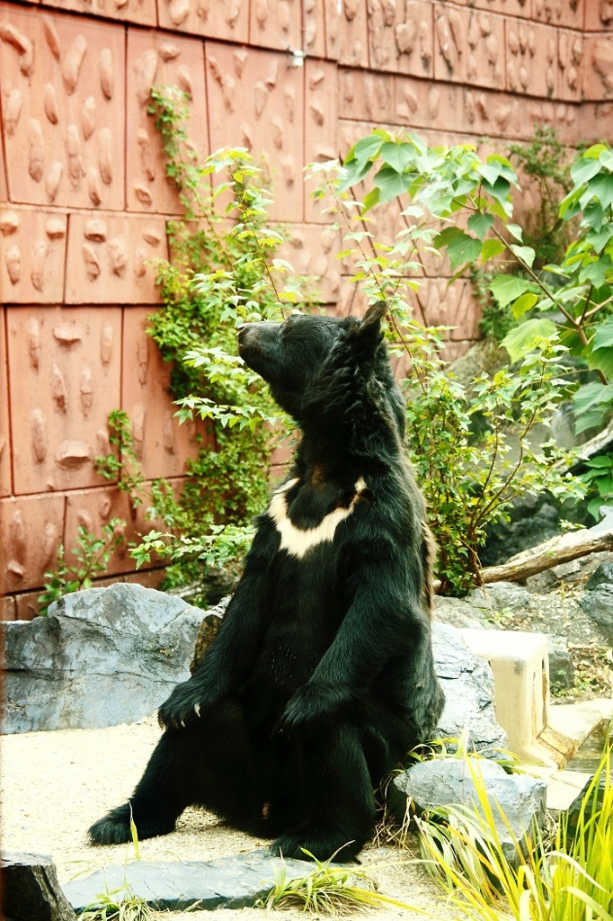 ピザまだかなー