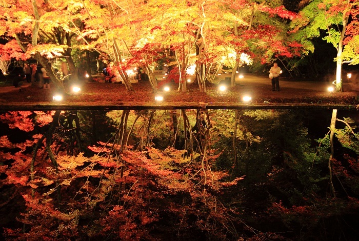 逆紅