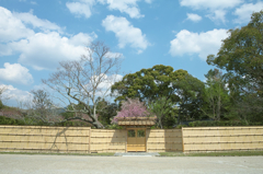 奈良国立博物館横