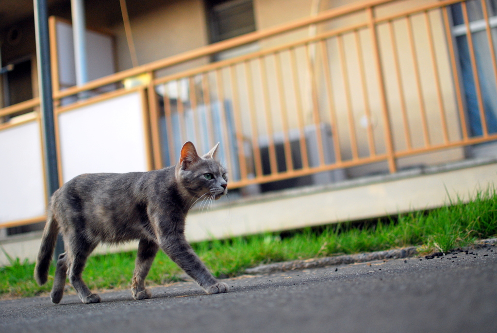 てくてく